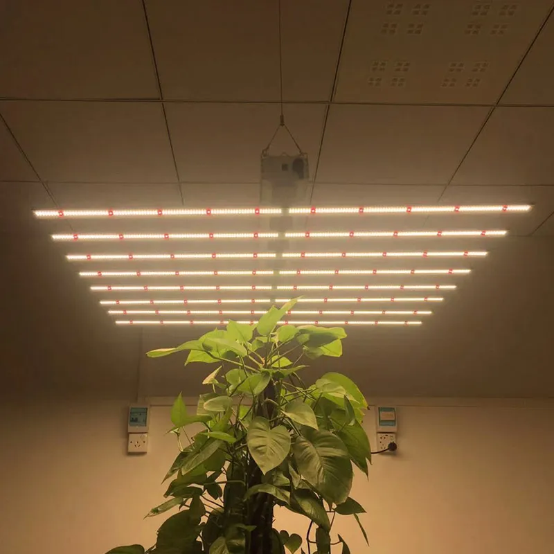 Waterproof LED Plant Growing Lamp 480W Adjustable Spectrum LED Grow Light for Plants Growth