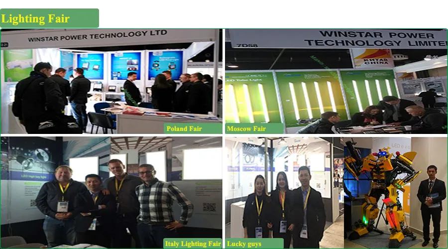 Wholesale Distributor 150W IP65 LED Grow Light, LED Tri Proof Light, LED Light Lamp, LED Light Bar