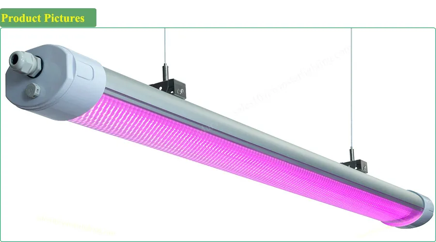 Wholesale Distributor 150W IP65 LED Grow Light, LED Tri Proof Light, LED Light Lamp, LED Light Bar