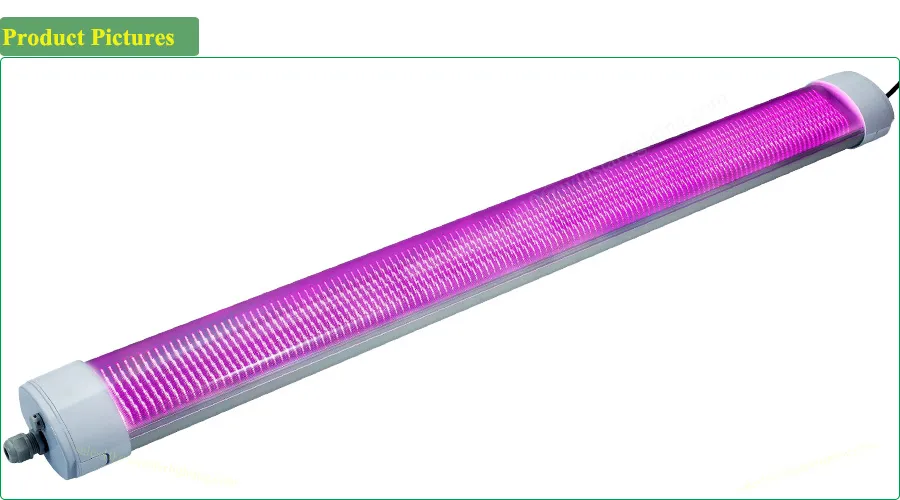 Wholesale Distributor 150W IP65 LED Grow Light, LED Tri Proof Light, LED Light Lamp, LED Light Bar