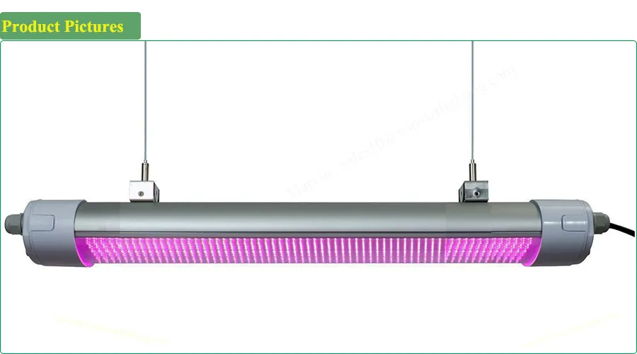 Wholesale Distributor 150W IP65 LED Grow Light, LED Tri Proof Light, LED Light Lamp, LED Light Bar