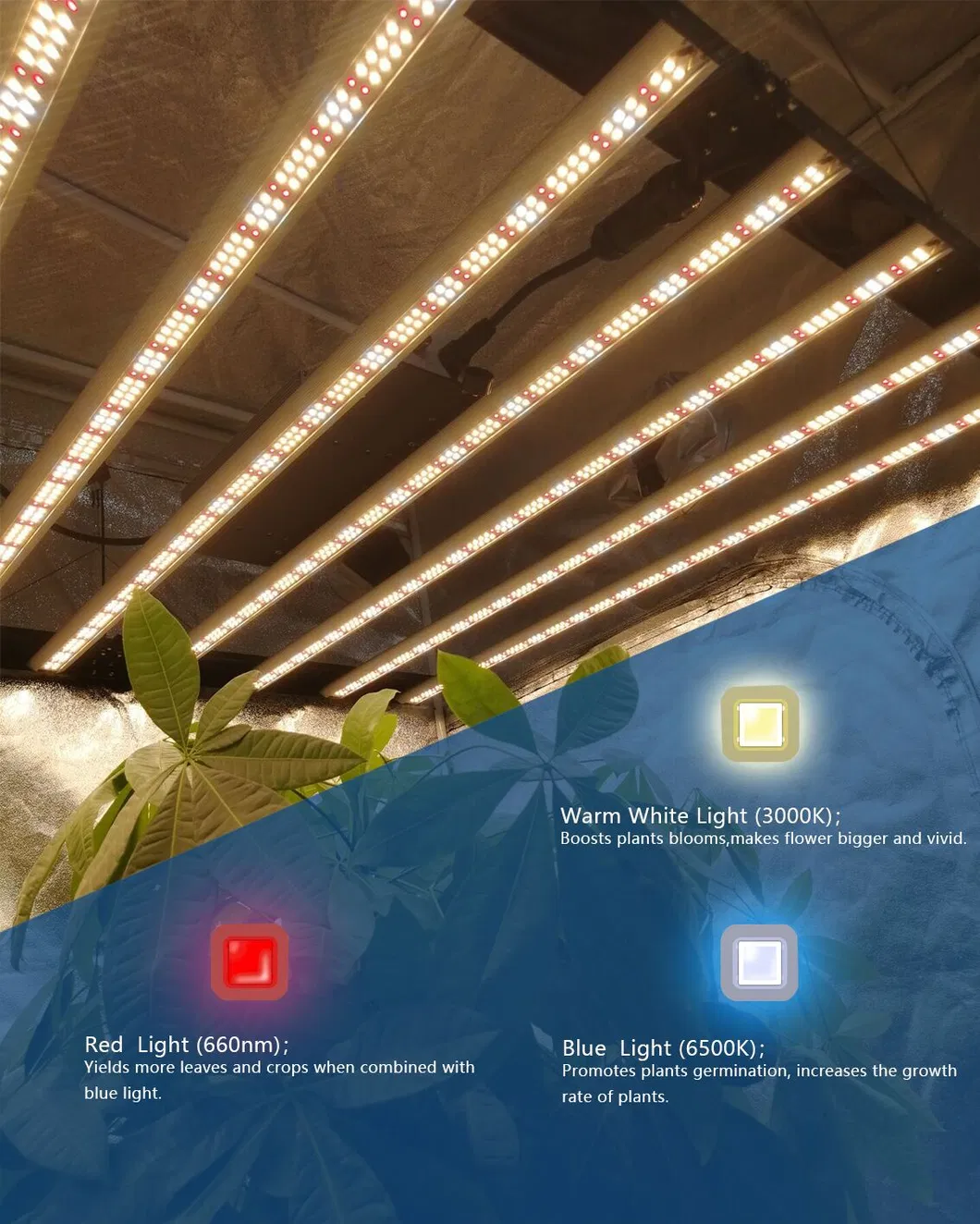 Wholesale Price Waterproof Dimmable WiFi Control 1000W Full Spectrum LED Grow Light Bar