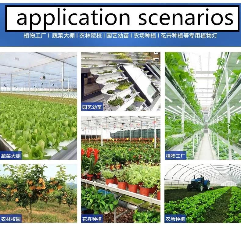 Wholesale Shenzhen Commercial High Power LED Grow Light