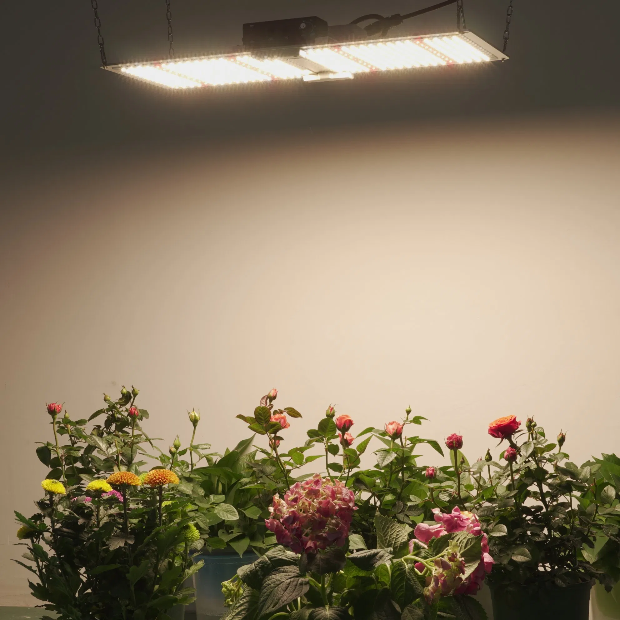 Wholesaler Price Vertical Farm Hydroponic Fluence High Ppfd 300W LED Grow Light
