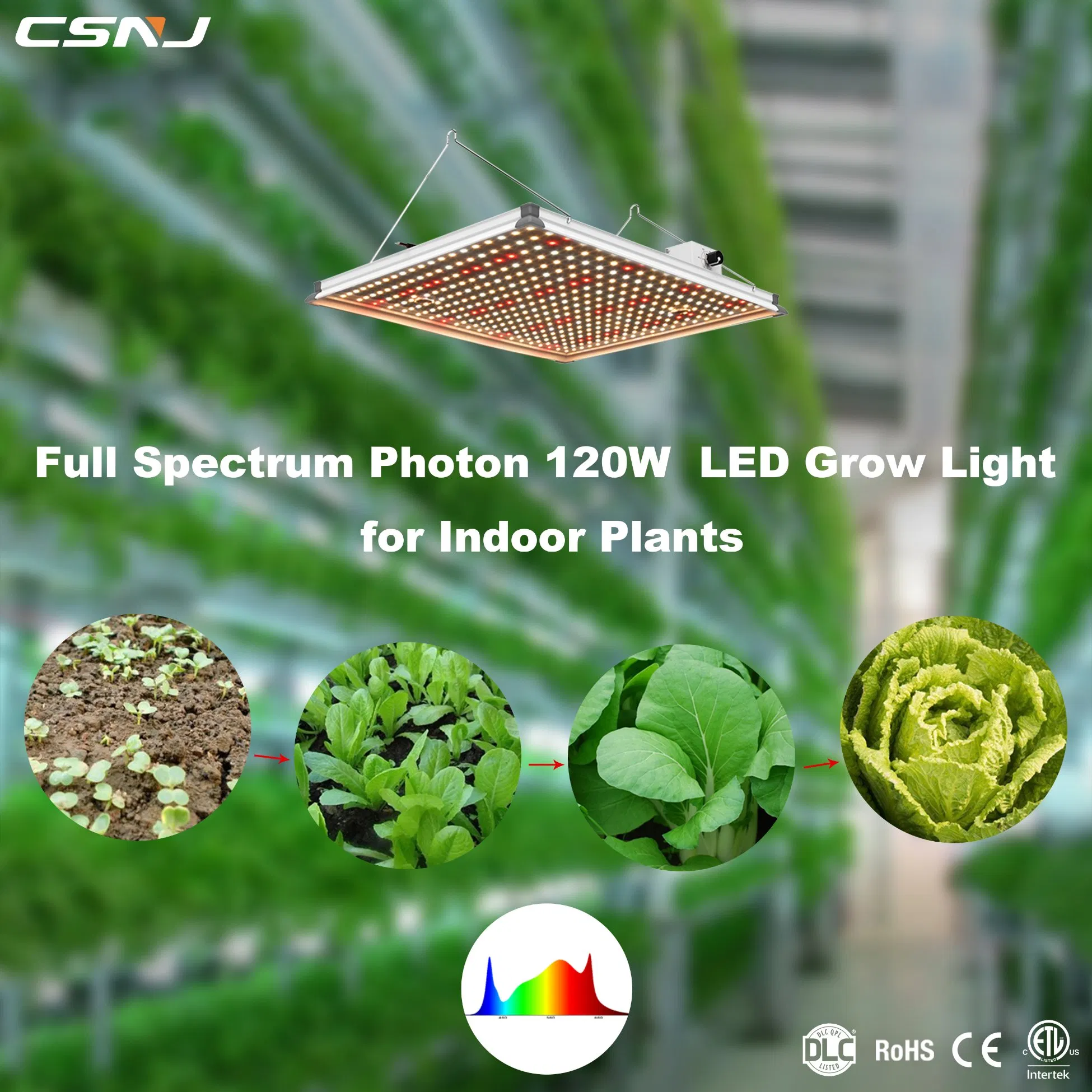 Wholesales Priced New Design Competitive Photon Board P120 120W LED Grow Light Panel for Indoors Growing