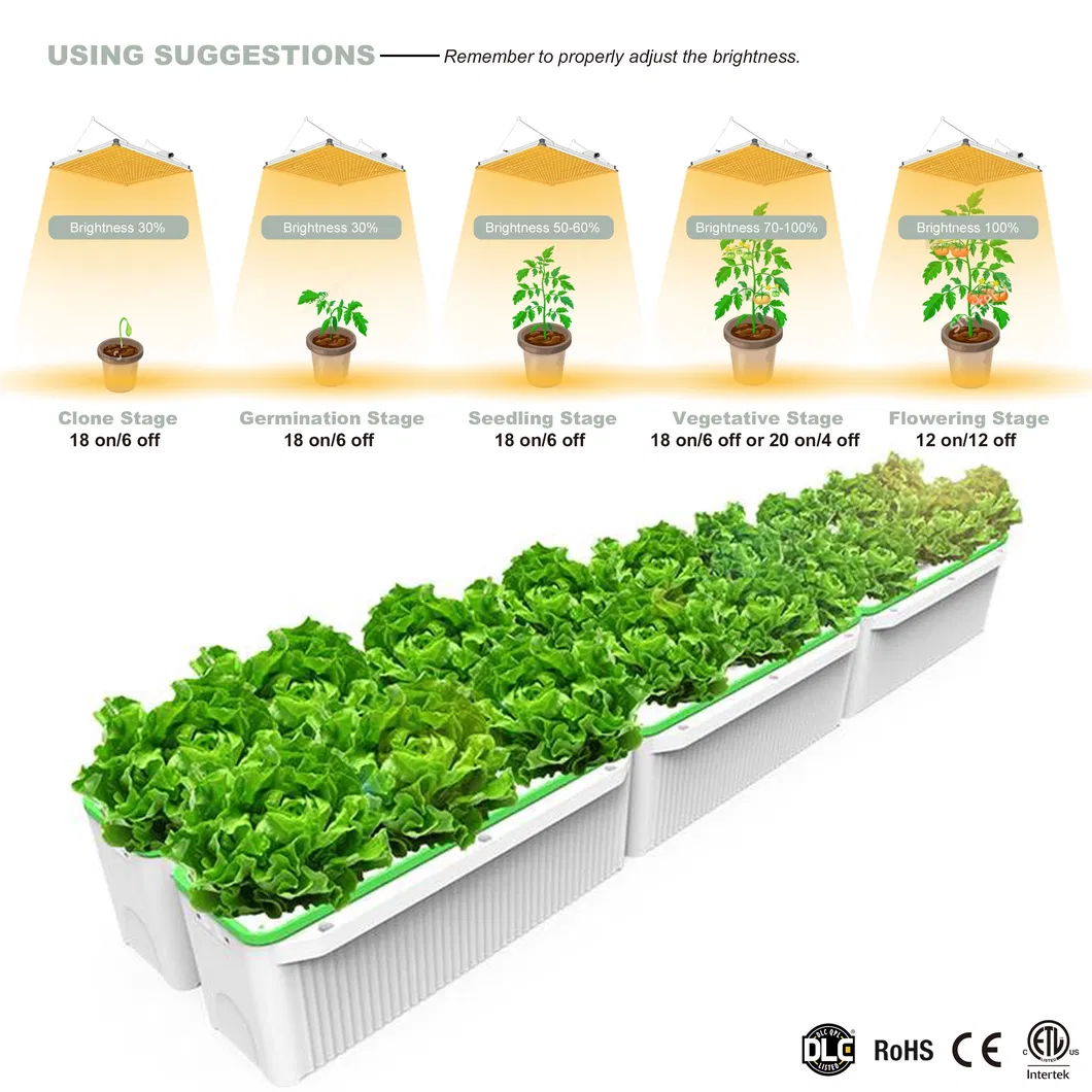 Wholesales Priced New Design Competitive Photon Board P120 120W LED Grow Light Panel for Indoors Growing