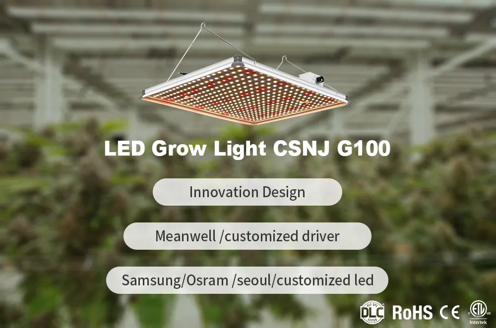Wholesales Priced New Design Competitive Photon Board P120 120W LED Grow Light Panel for Indoors Growing