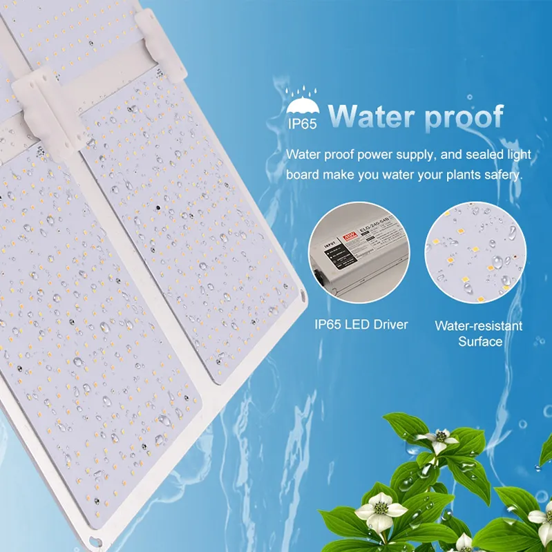 Wholesales Quantum Board 100W 200W 400W 600W Samsung 301b 301h High PPE Ddfd LED Grow Light