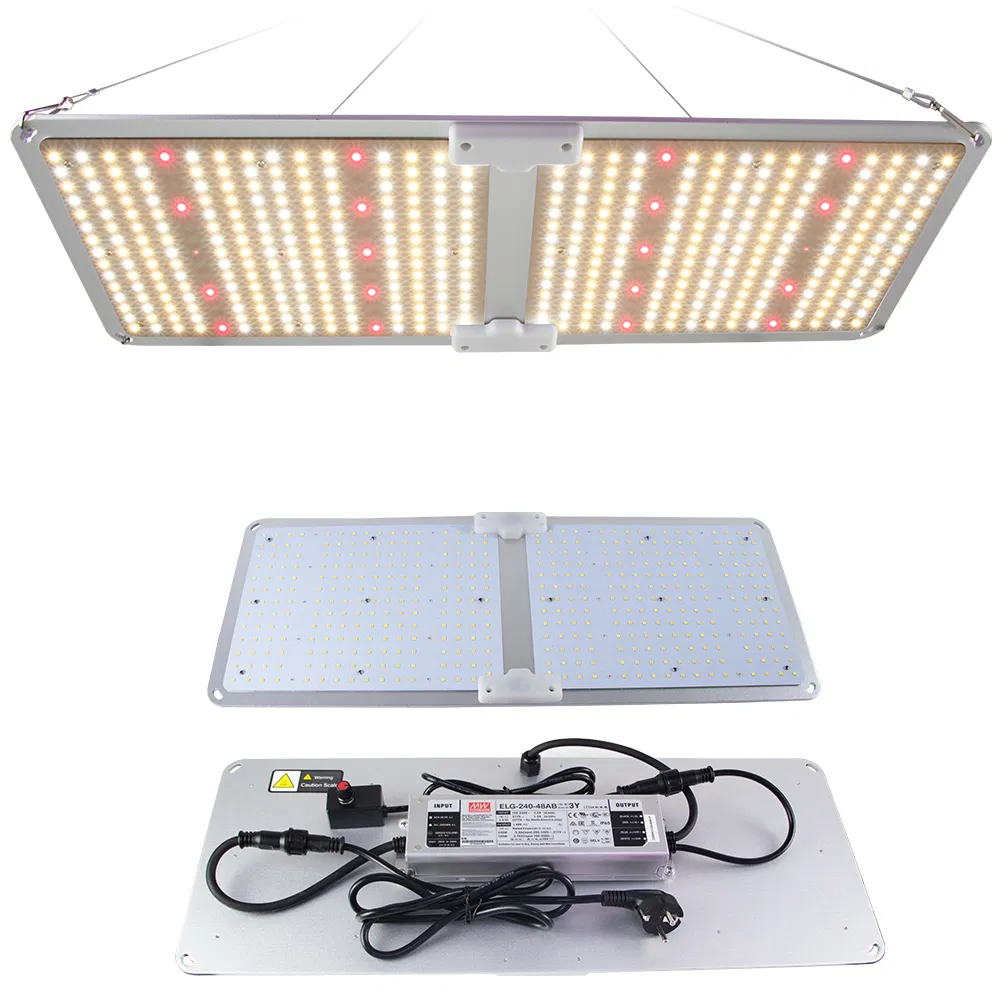 Wholesales Quantum Board 100W 200W 400W 600W Samsung 301b 301h High PPE Ddfd LED Grow Light