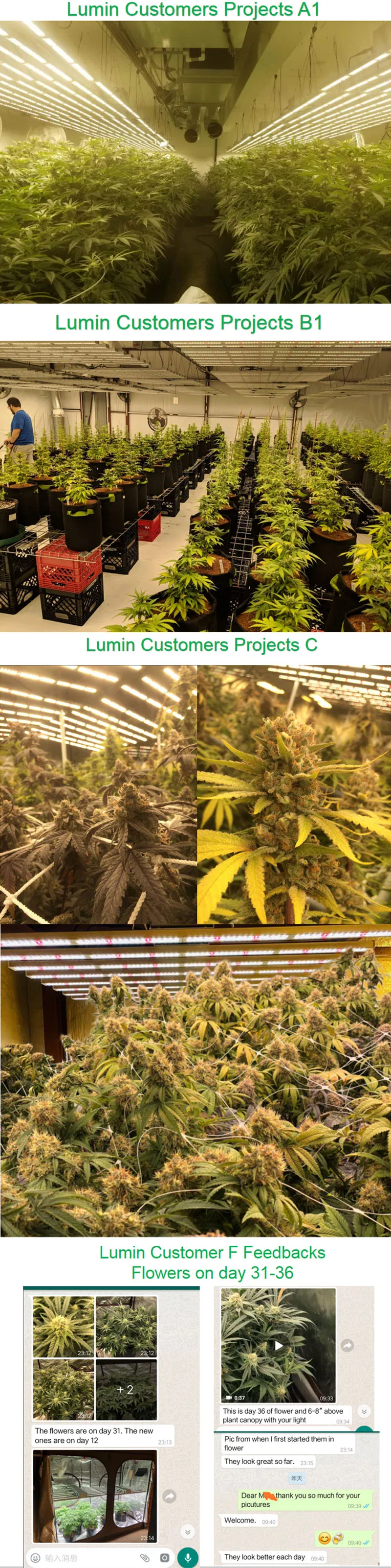 WiFi Dimmable High Power 800W 1000 Watt Full Spectrum LED Grow Lamps for Medical Plants