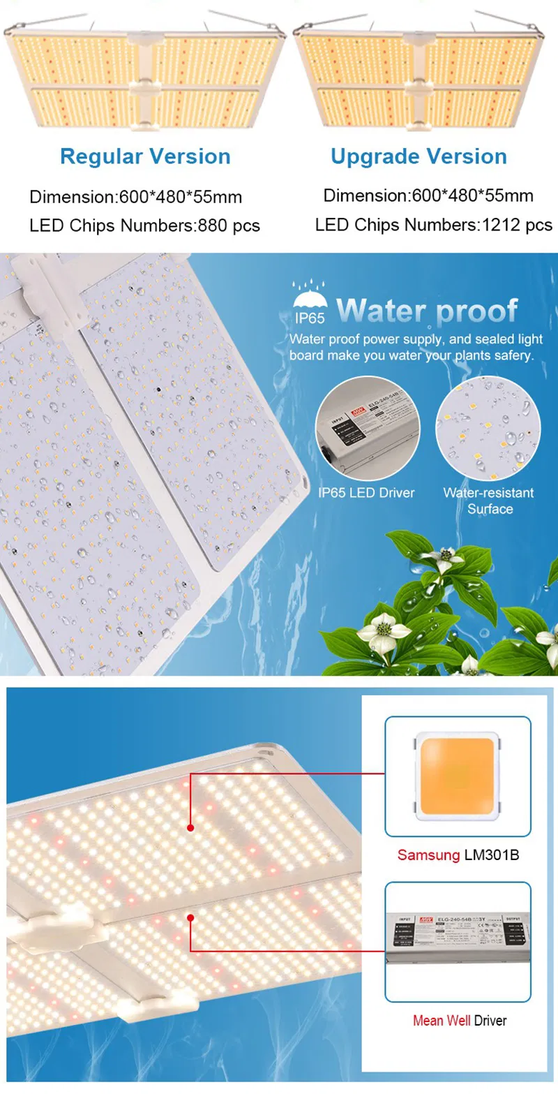 Yayi Sf4000 Lm301h Lm301b 4000W Chip LED Grow Light IP65