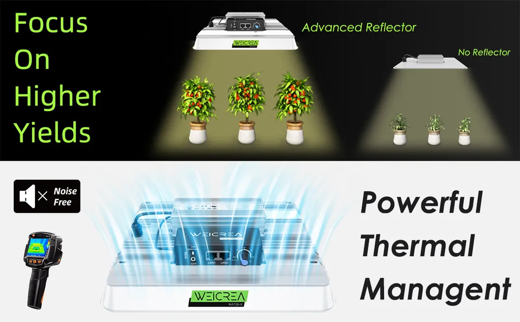 Zgsm High Lumen Full Spectrum 100W 200W 400W LED Grow Light