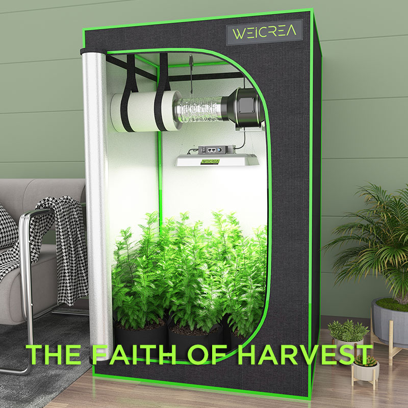 Zgsm High Lumen Full Spectrum 100W 200W 400W LED Grow Light