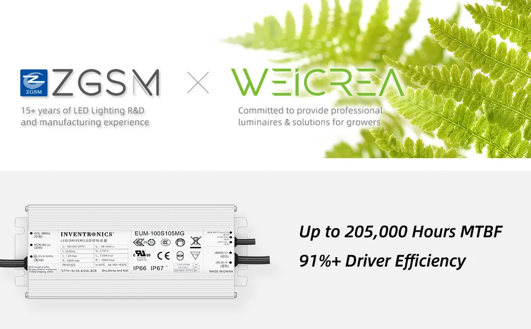 Zgsm High Lumen Full Spectrum 100W 200W 400W LED Grow Light