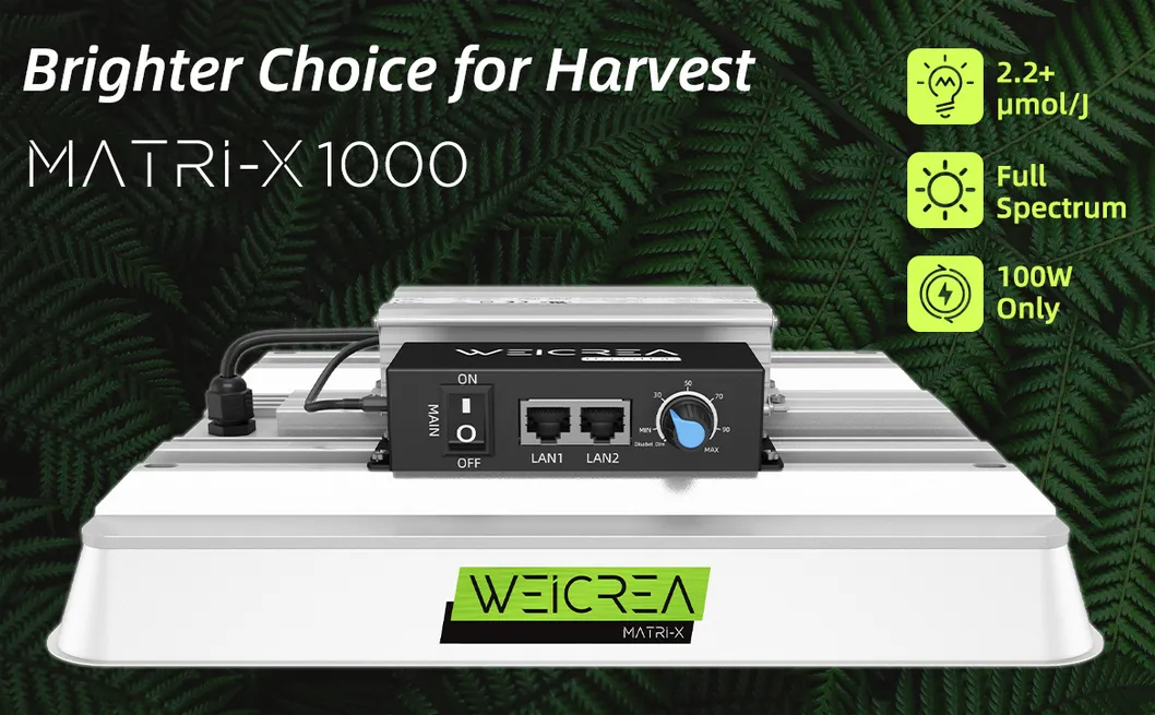 Zgsm High Lumen Full Spectrum 100W 200W 400W LED Grow Light