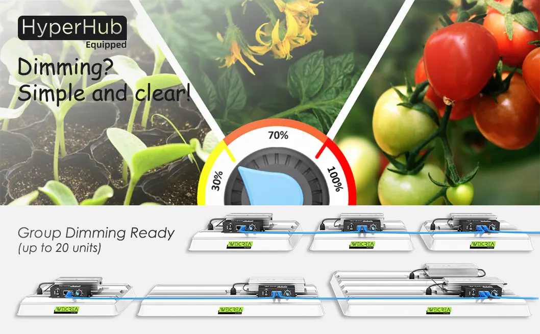 Zgsm High Lumen Full Spectrum 100W 200W 400W LED Grow Light