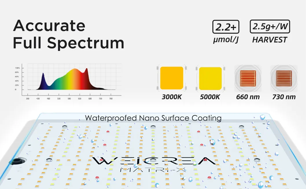 Zgsm High Lumen Full Spectrum 100W 200W 400W LED Grow Light